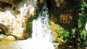 hamam ouled dzaid