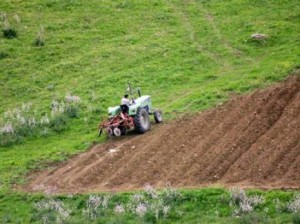 terres-agricoles